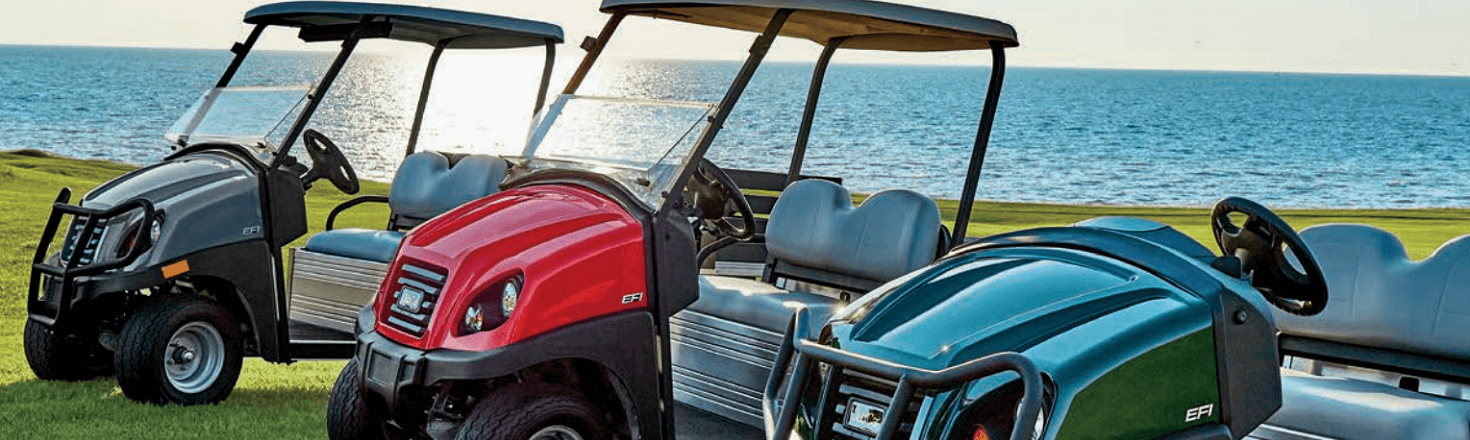 Club Cars at Golf Cars of Hickory in Conover, North Carolina