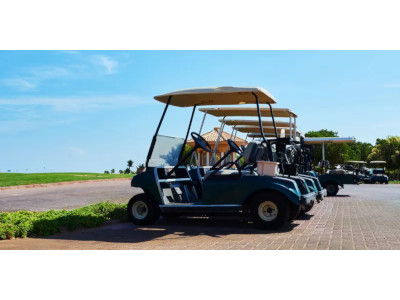 Best Club Car Ds Golf Cart for sale in Huntersville, North